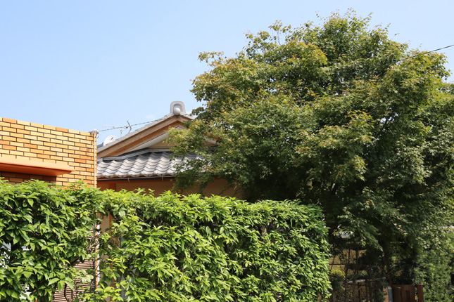 01－菱形の格子天井がある木の香りの家－福岡県朝倉市来春_0893-645.jpg